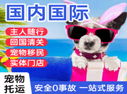 集宁航空货运国际宠物托运 【国